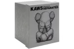 KAWS Separated Vinyl Figure Grey Toy Box
